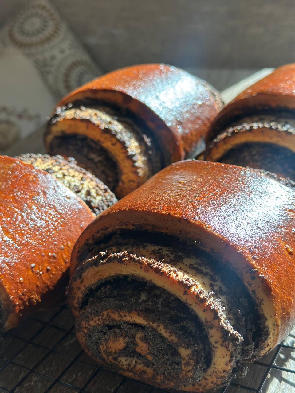 bun · poppy seed